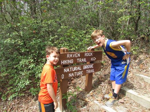 Boys hiking - The Family Glampers